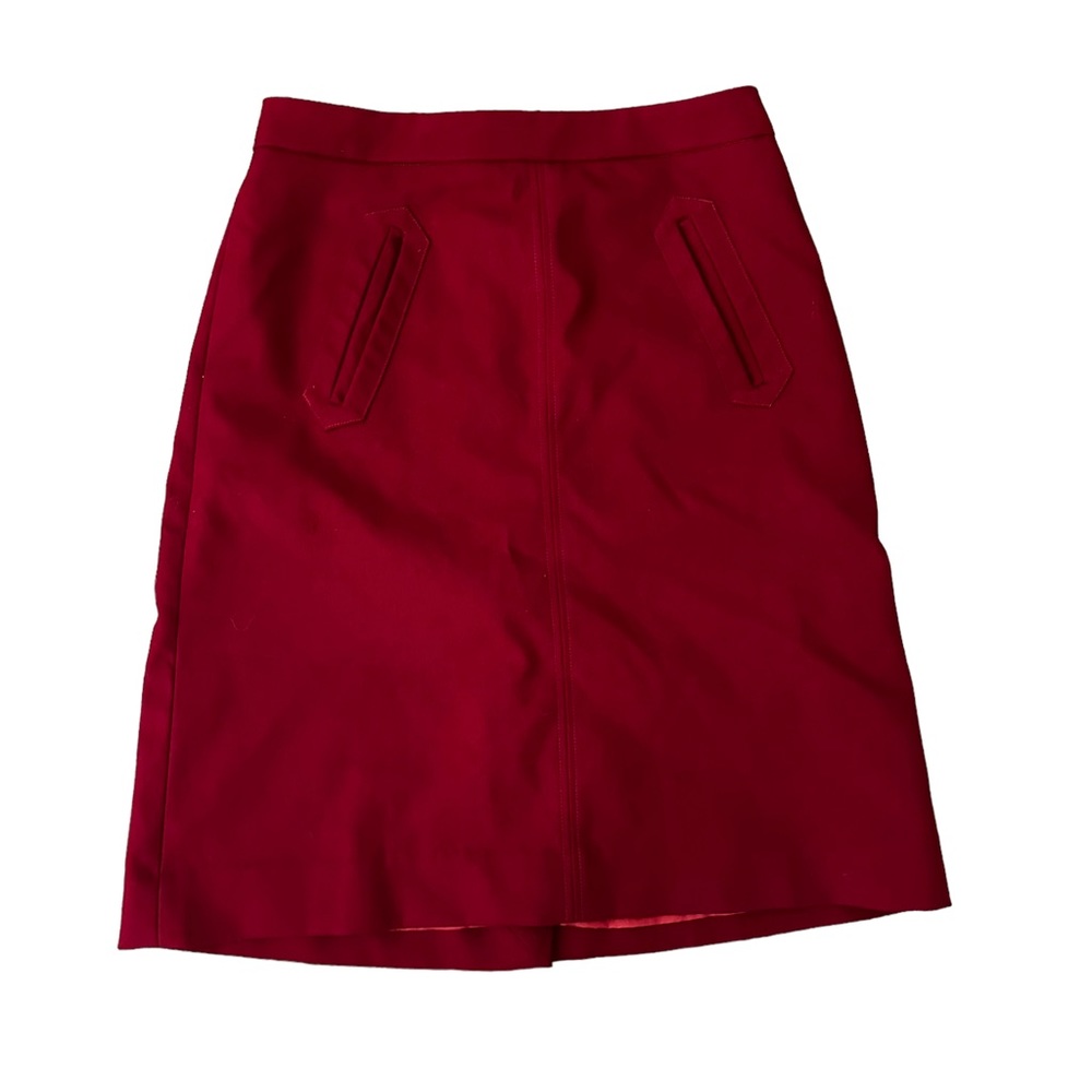 Pink Martini winter A-line Skirt with pockets